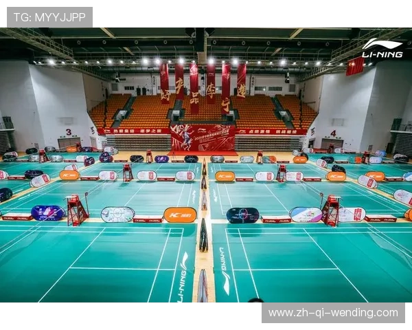 羽毛球视频回放